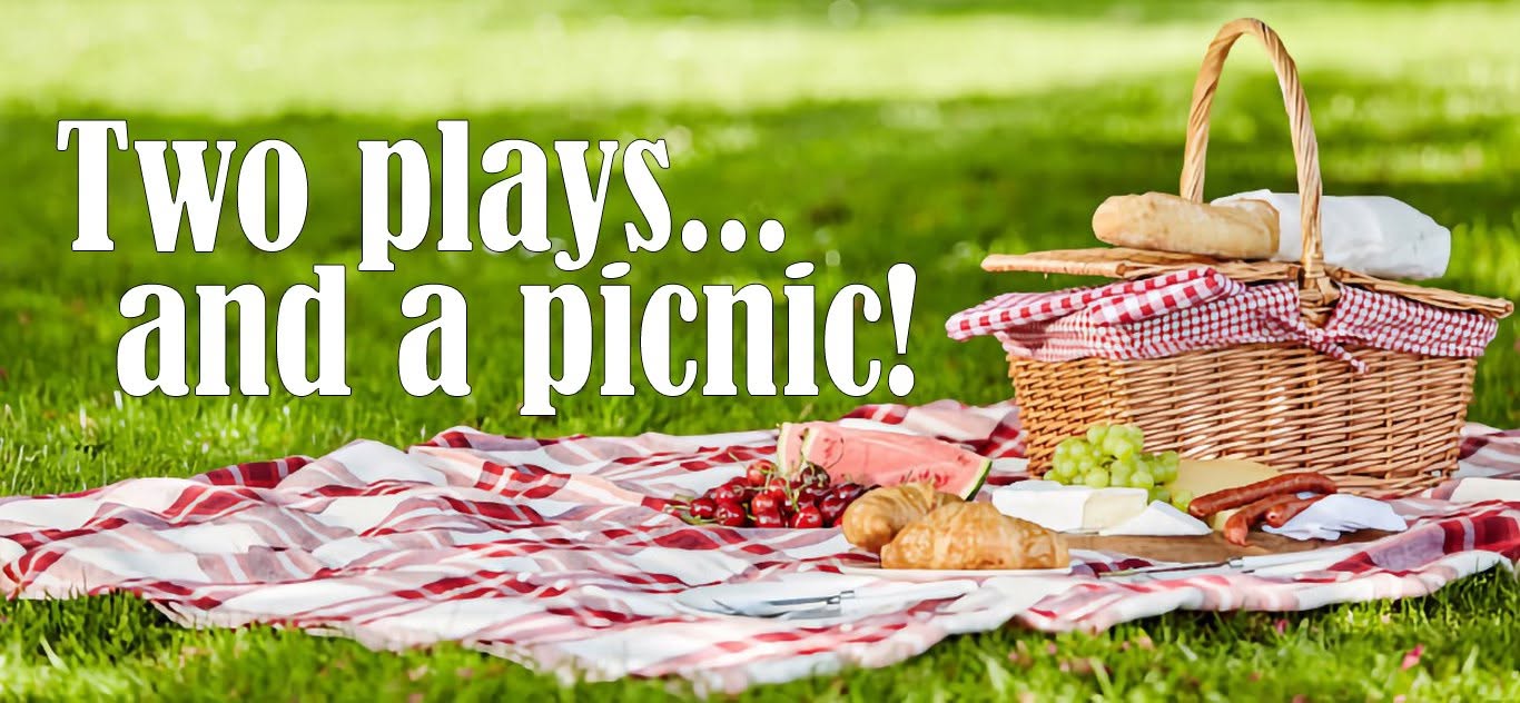 2playpicnic.jpg